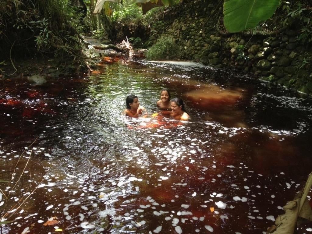 Hospedaria Quintal Dos Sonhos ヴァレ・ド・カパオン エクステリア 写真